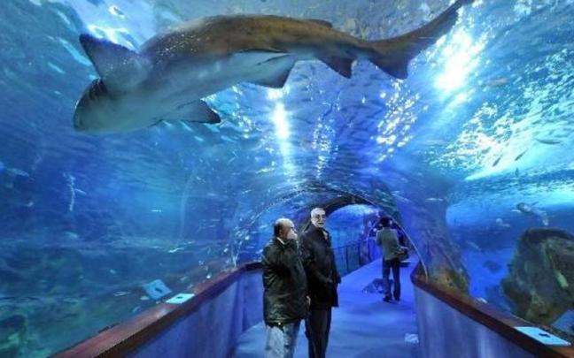 Acuario de Donostia.