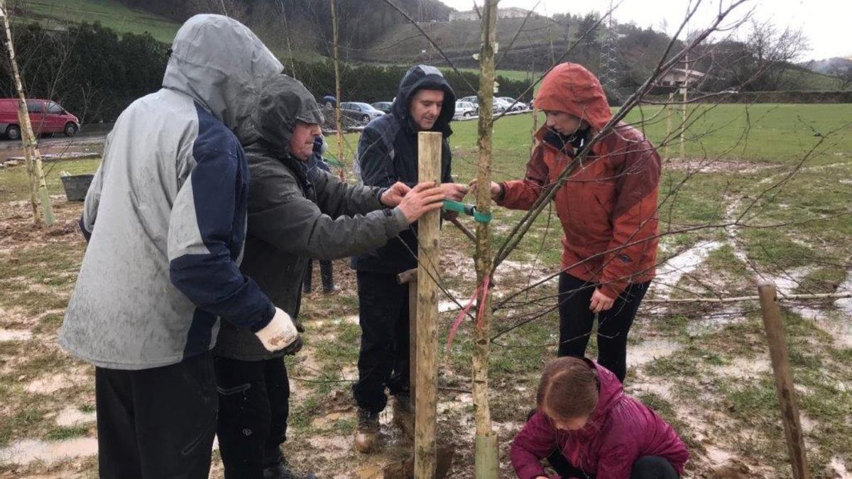 A lo largo de la mañana se plantarán árboles de distintas especies en la campa de Goena