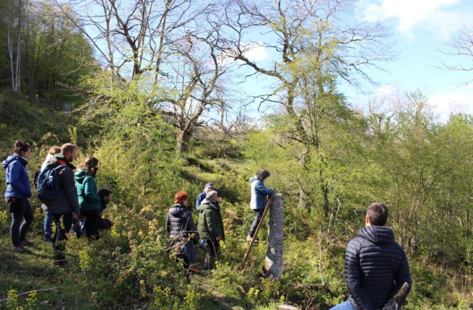 Visitantes en el castañar de Apellániz