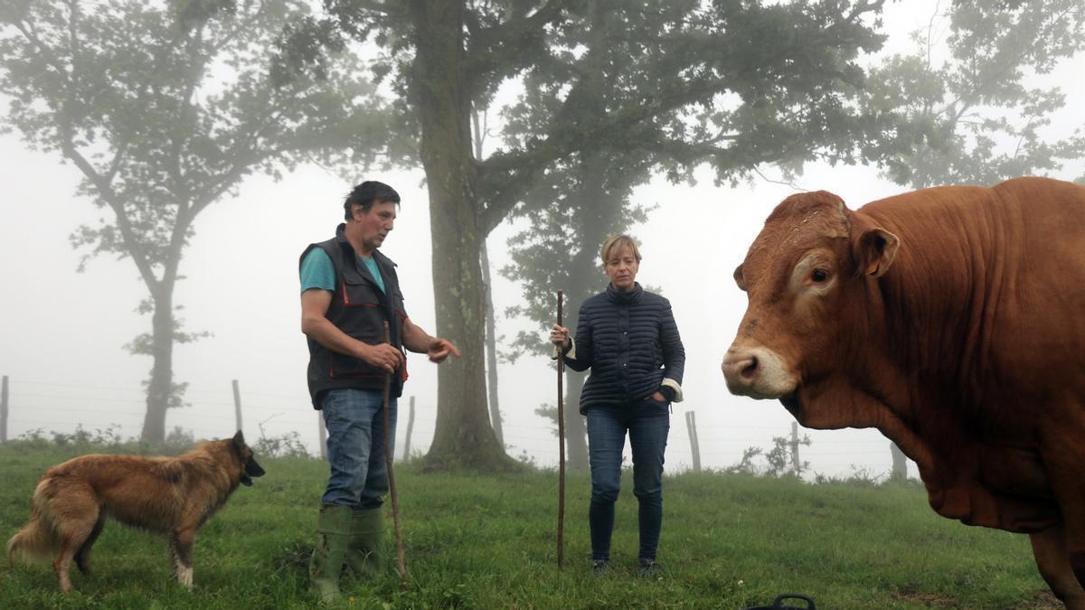 La candidata del PNV a diputada general de Gipuzkoa, Eider Mendoza, ha dedicado este martes su atención al medio rural como garantía de un futuro equilibrado para el Territorio.