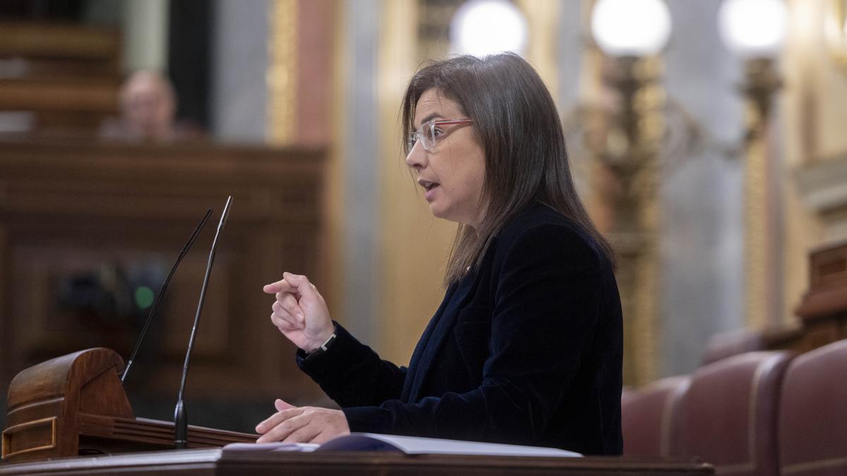 Diputada del PP Ana Belén Vázquer interviene en la sesión plenaria