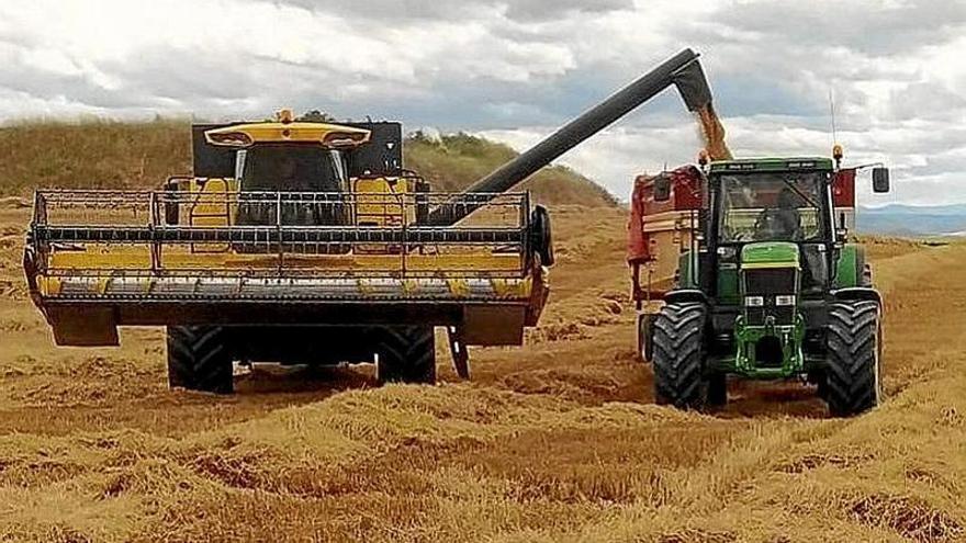 Una cosechadora y un tractor en un campo de cereal, en una imagen de archivo