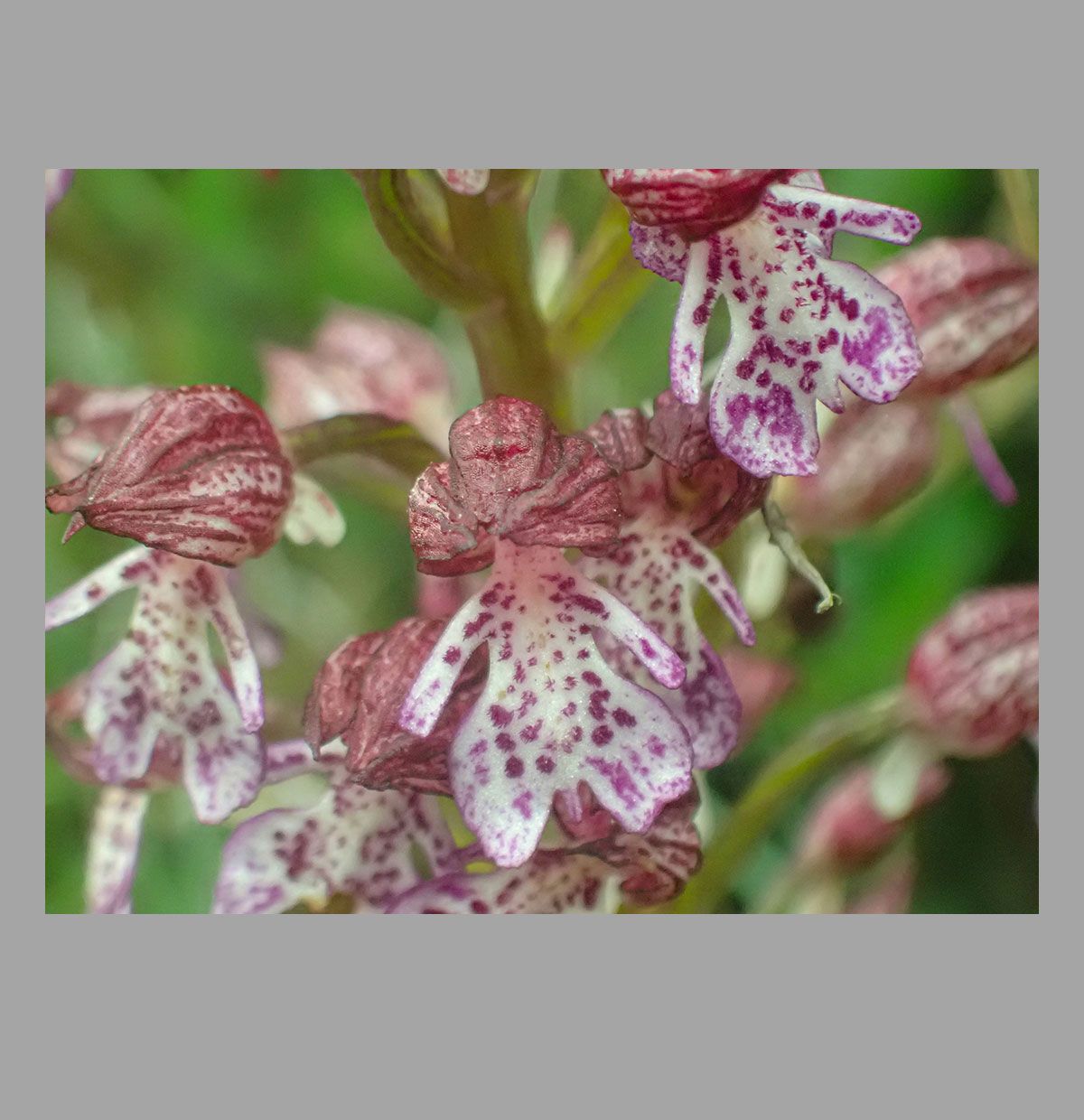 Foto ganadora menores de 14 años