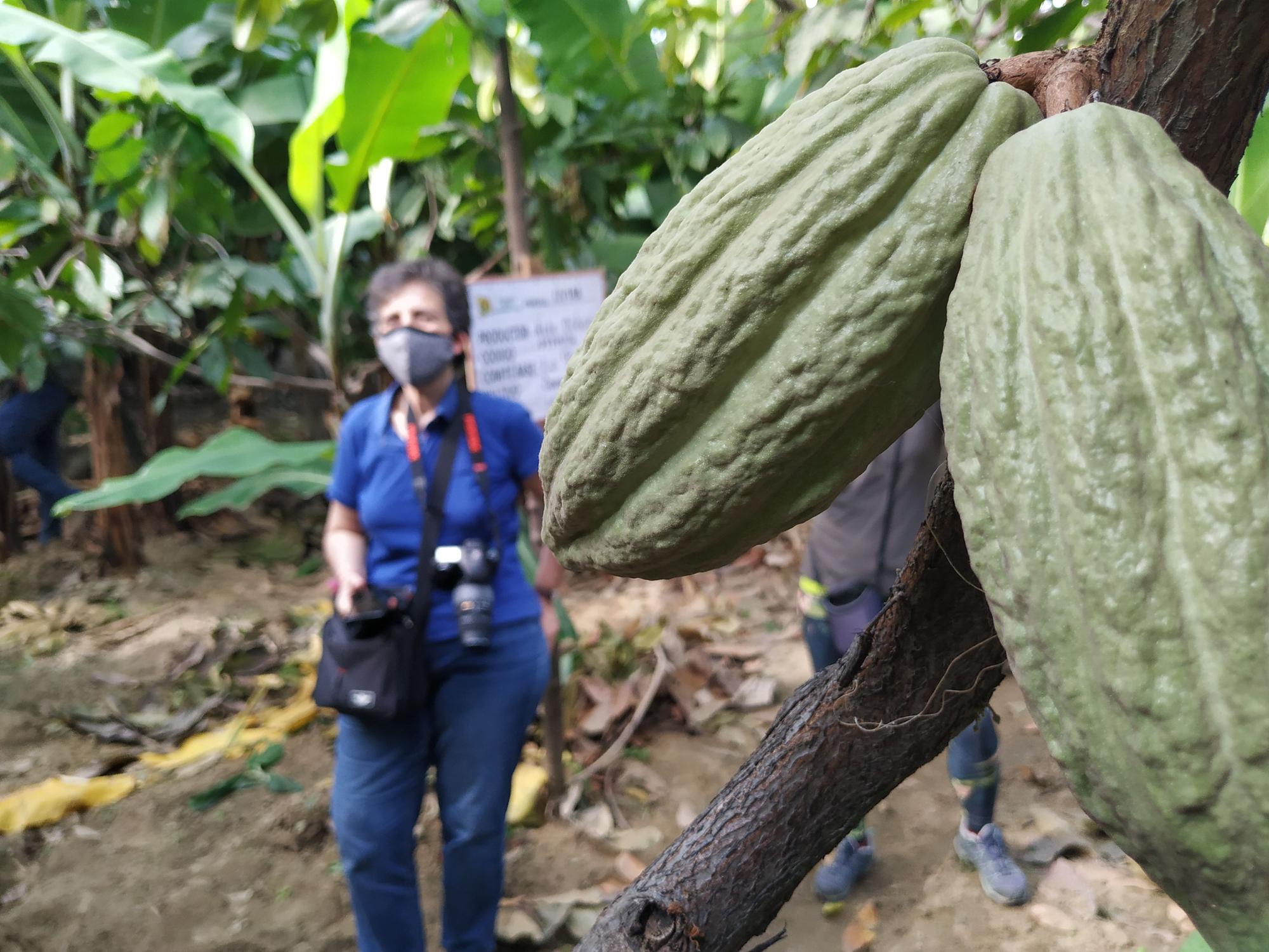 El primer proyecto que trataron de abordar fue en México.
