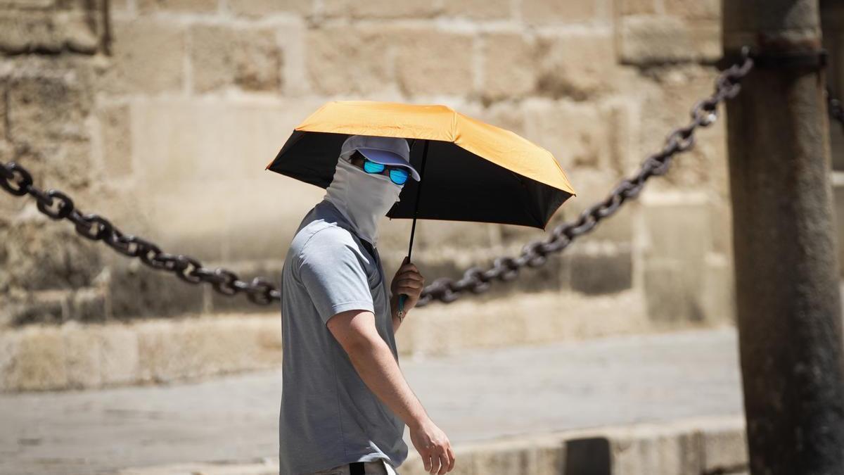 Un turista se protege del sol durante una de calor a finales del pasado mayo en Sevilla.