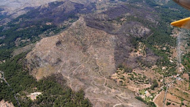 Actuaciones realizadas en la zona del incendio de la Serra de Tramuntana