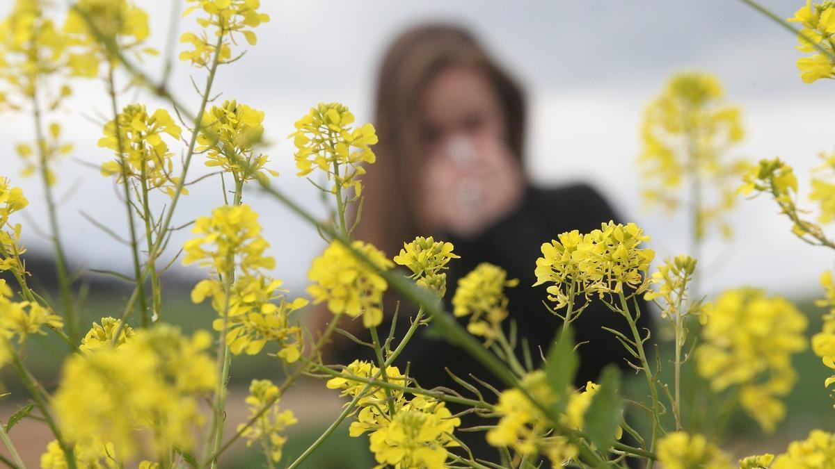 La primavera acaba de concluir pero no por ello las alergias han dejado de complicar la salud de un número importante de pacientes alaveses.