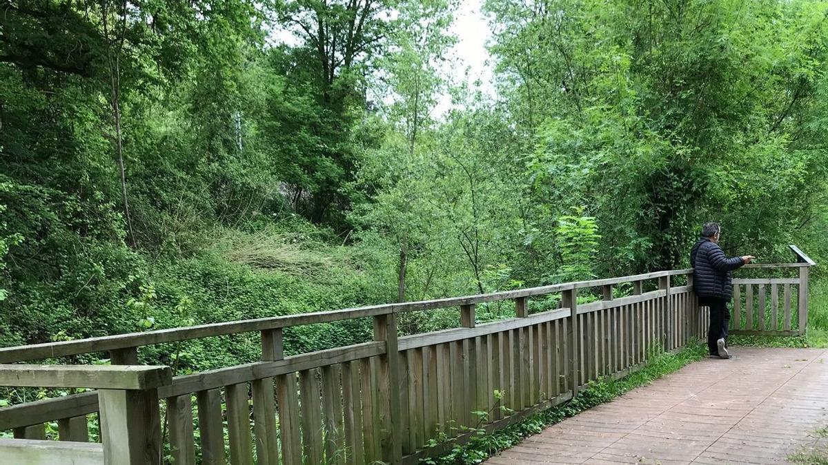 El Parque Lineal del Nervión une Amurrio y Laudio