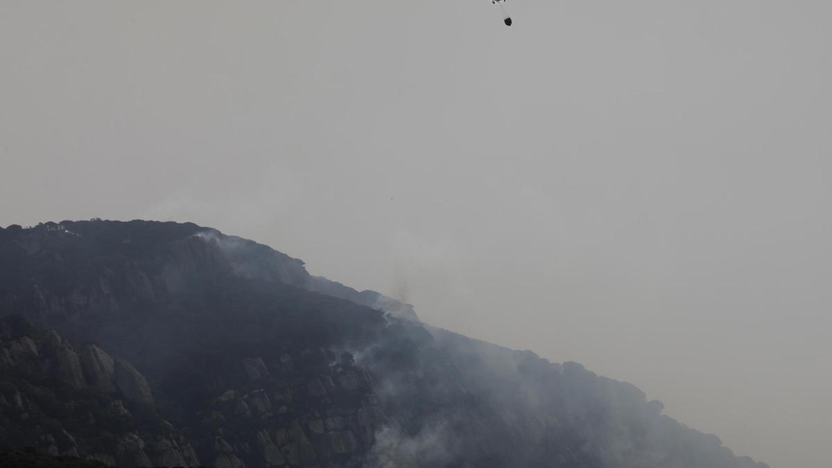 Siete aeronaves combaten el incendio forestal de Tarifa (Cádiz)