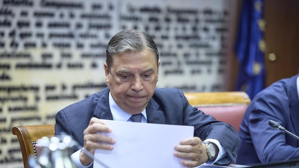 El ministro Luis Planas comparece durante la Comisión de Interior, en el Senado.