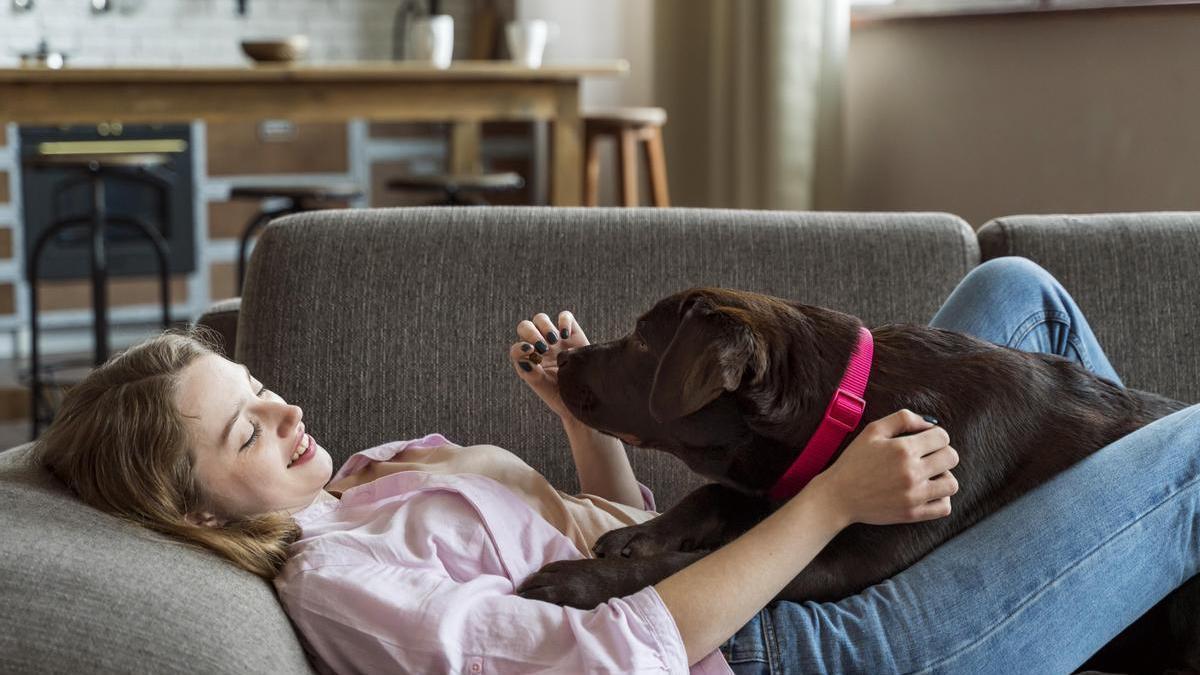 ¿Tu perro te lame? Esto es lo que trata de decirte, según los veterinarios