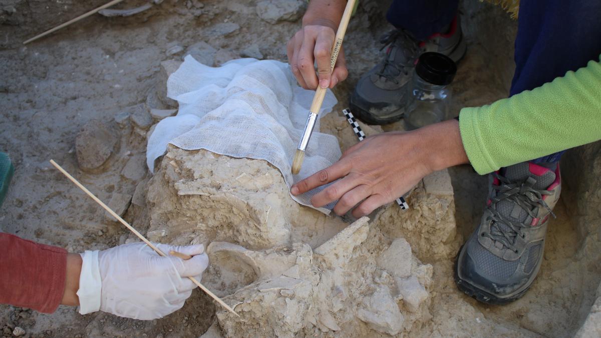 Un equipo de historiadores en una imagen de archivo.