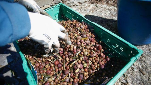 Estados Unidos se sitúa como el quinto socio comercial global del Estado y el principal extracomunitario.