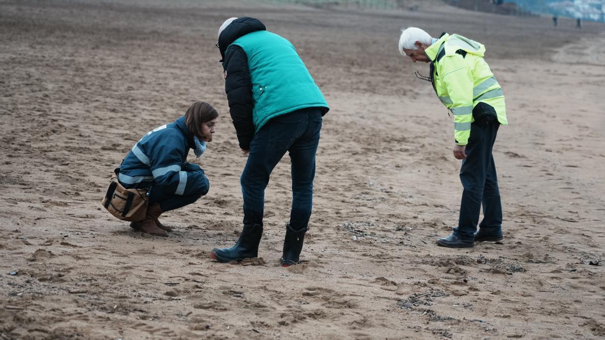 Personal del operativo de vigilancia y limpieza de la Diputación Foral de Bizkaia buscan pellets en la playa de La Arena, en Muskiz. Foto: E.P.