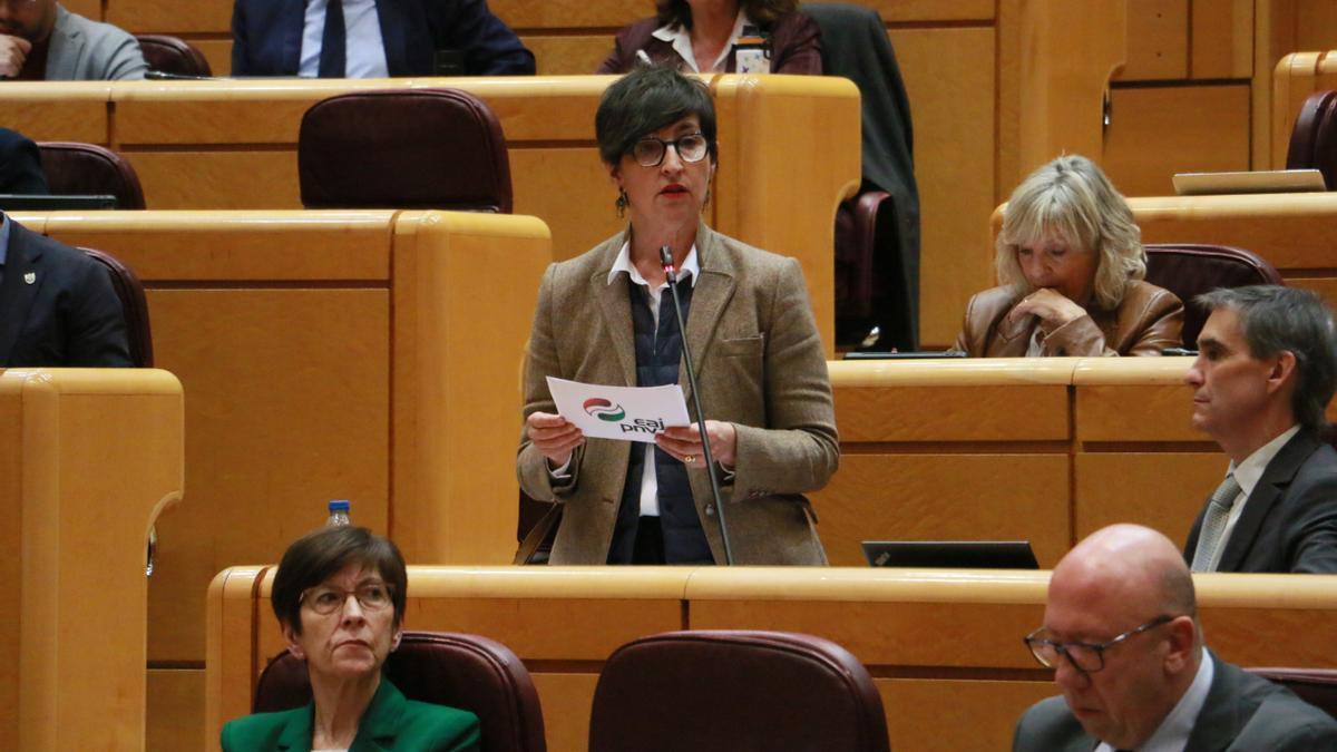 La senadora de EAJ-PNV, María Dolores Etxano.