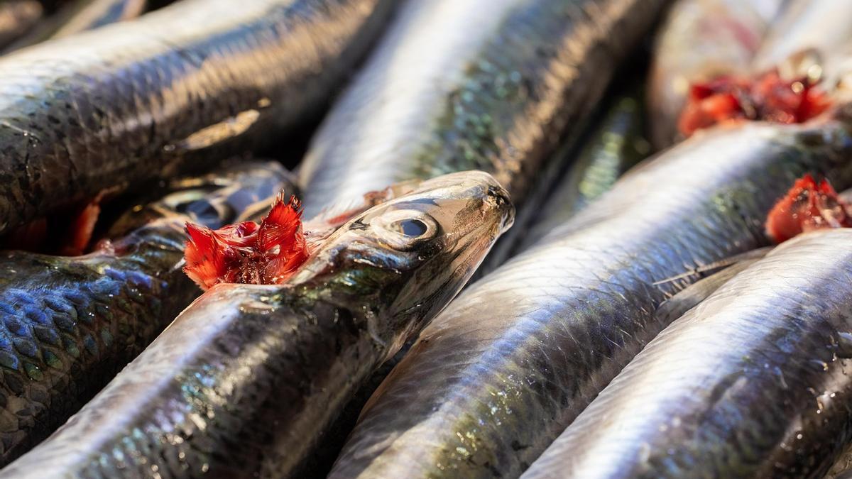 Cómo limpiar las anchoas, según Karlos Arguiñano