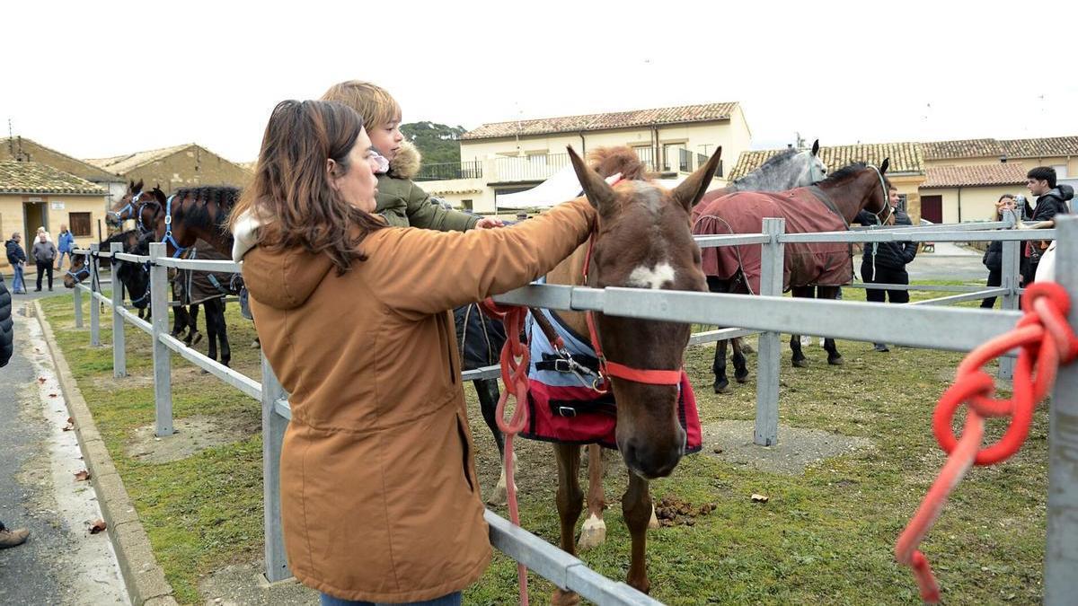 Un niño acaricia a un caballo en las ferias de Tafalla.