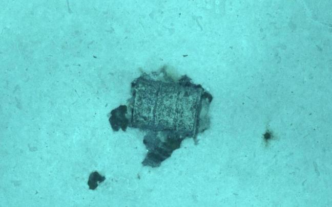 Un bidón con residuos radiactivos en la Fosa Atlántica. / CNRS Un bidón con residuos radiactivos en la Fosa Atlántica.
