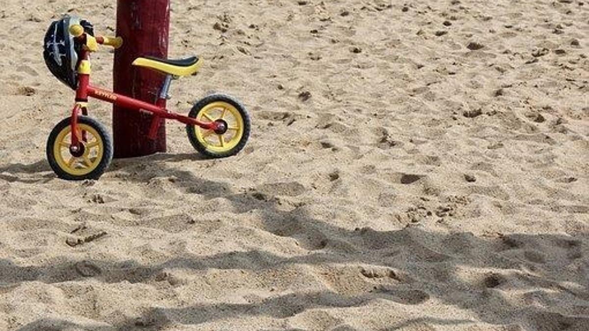 Arabako Aldundiak laguntza psikologikoa emango die adopzioaren ostean zailtasunak dituzten familiei.