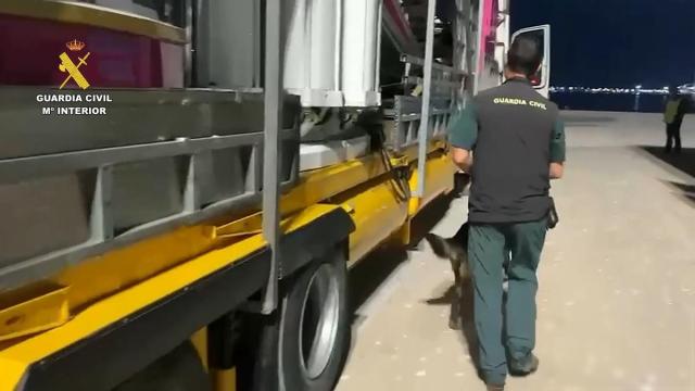 Agentes realizan inspecciones dentro de la Operación Feriante
