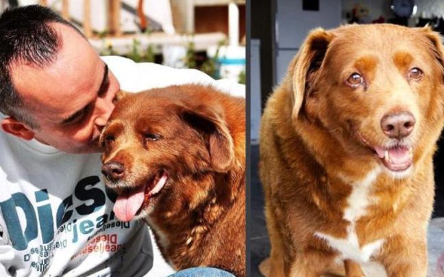 Bobi ha muerto a los 31 años.