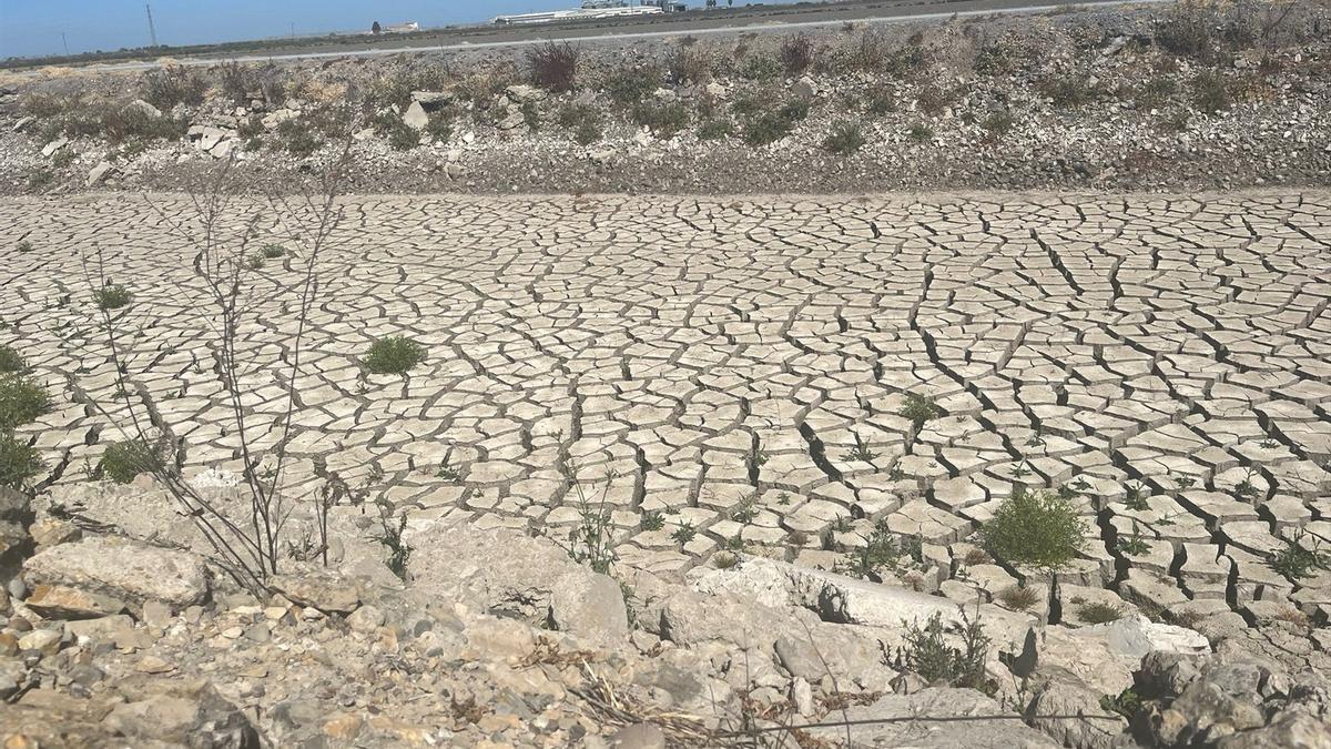 Un canal de riego seco por falta de agua en Sevilla.