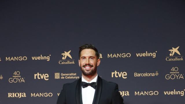 La alfombra roja de los Premios Goya, en imágenes