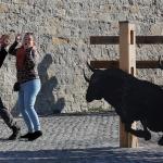 Pamplona llena de turistas en Semana Santa