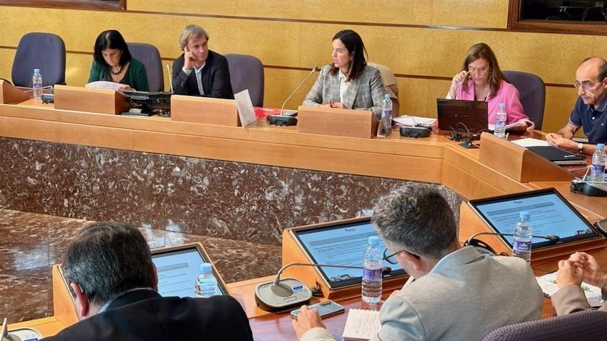 Comparecencia en las Juntas Generales de Bizkaia de la diputada