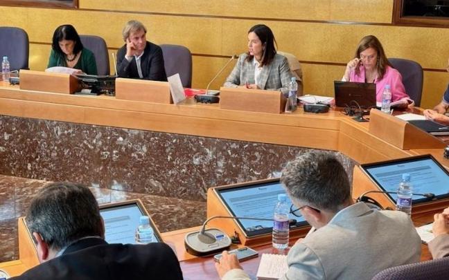 Comparecencia en las Juntas Generales de Bizkaia de la diputada