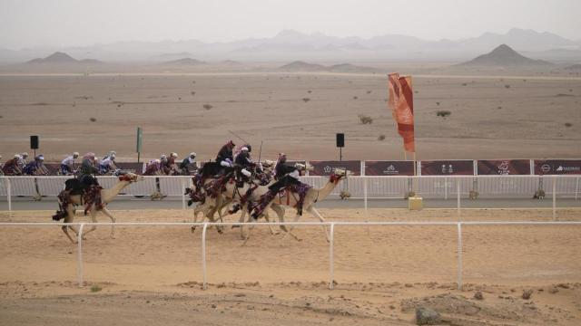 Los ciclistas ruedan en paralelo al circuito de las carreras de dromedarios.