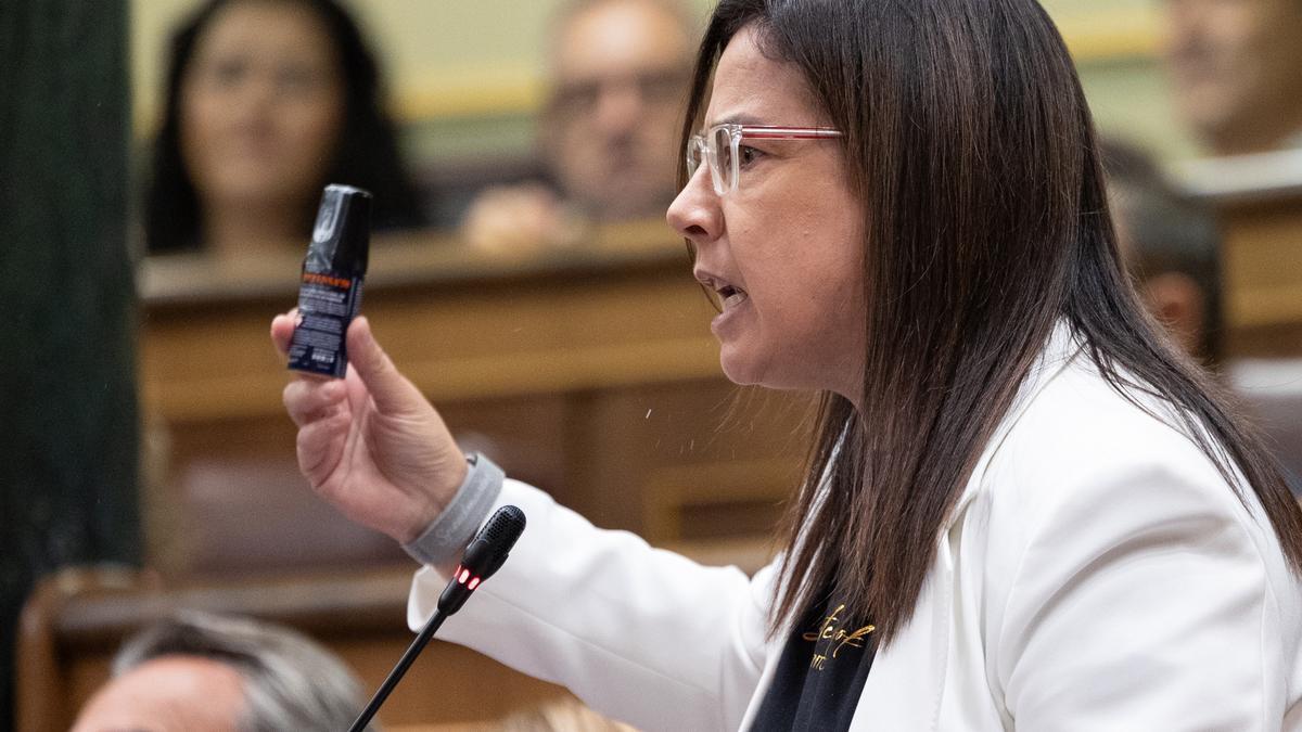 La diputada del PP Ana Belén Vázquez.