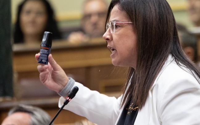 La diputada del PP Ana Belén Vázquez.