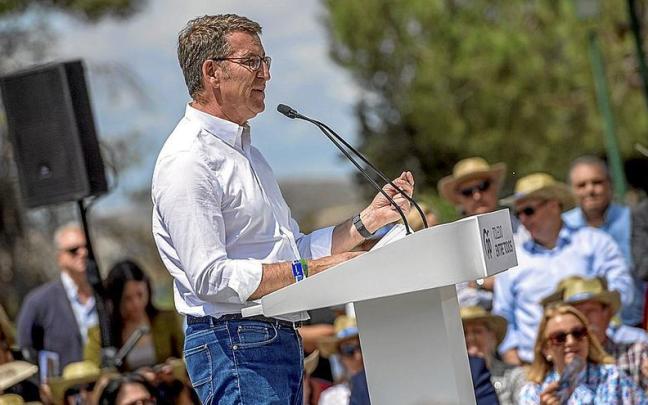 El presidente del PP, Alberto Núñez Feijóo, ayer durante un mitin en Toledo. | FOTO: EFE