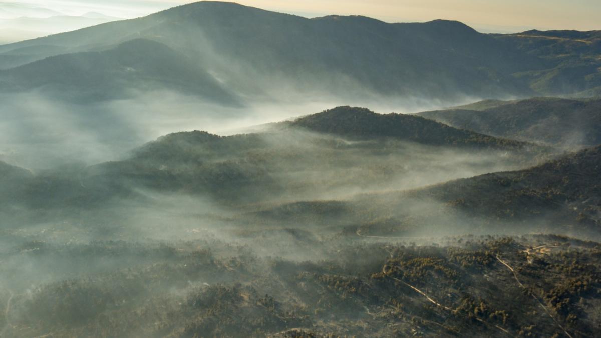 Greenpeace documenta desde el aire las zonas quemadas por los incendios en Ávila