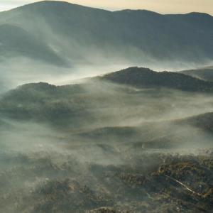 Greenpeace documenta desde el aire las zonas quemadas por los incendios en Ávila