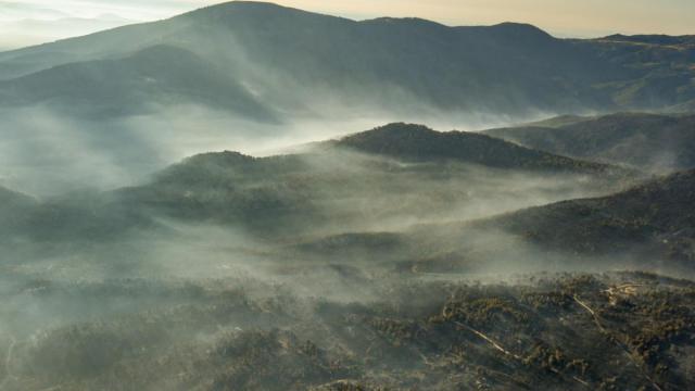 Greenpeace documenta desde el aire las zonas quemadas por los incendios en Ávila