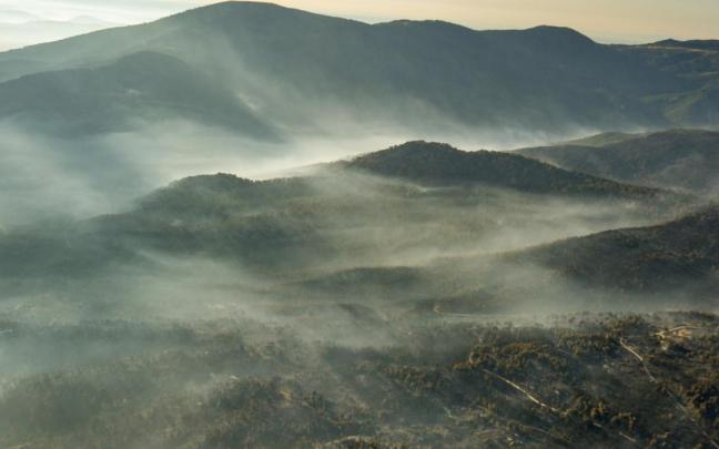 Greenpeace documenta desde el aire las zonas quemadas por los incendios en Ávila