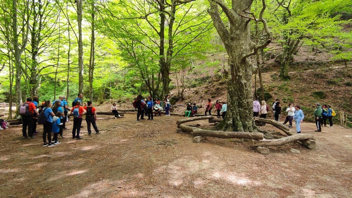 El entorno es magnífico