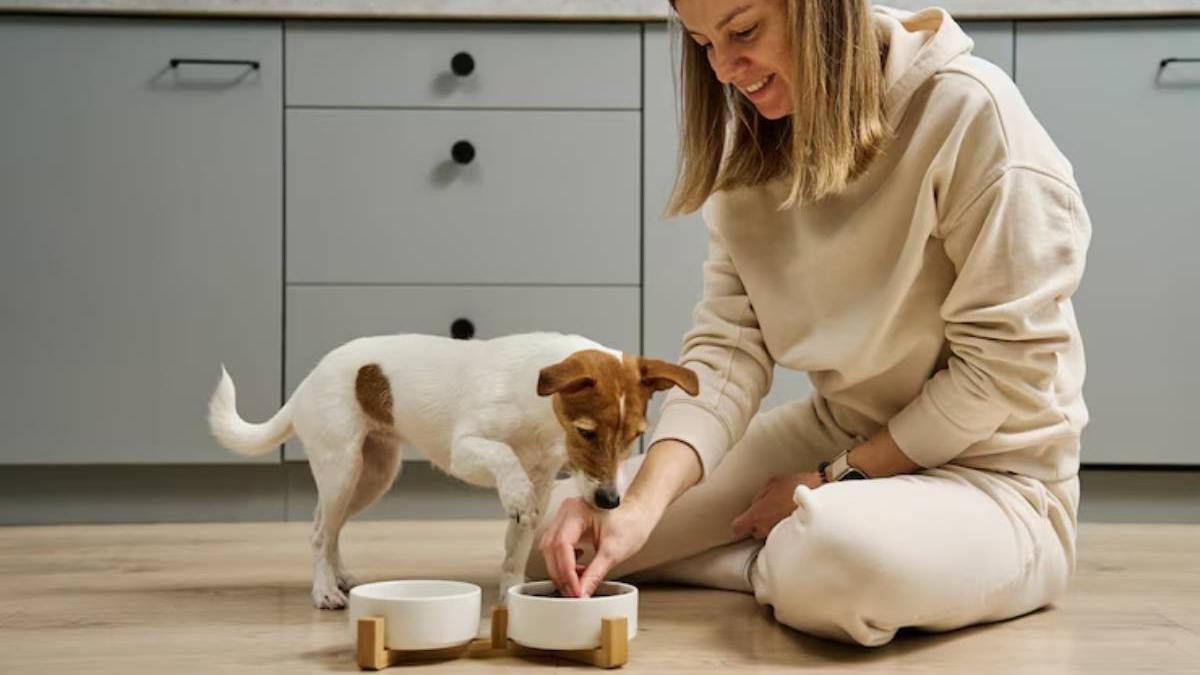 Perro comiendo junto a su dueña.