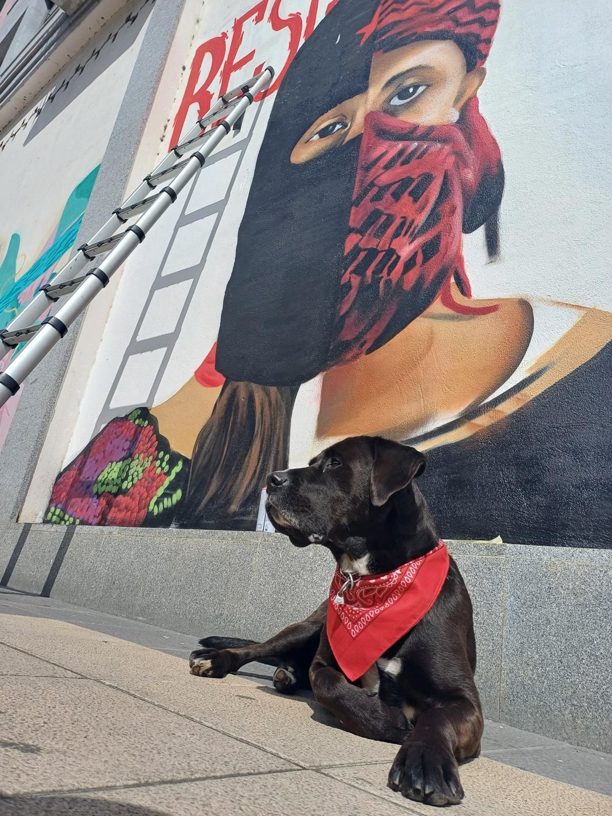 Su arte también reivindica en un mundo de guerras, injusticias y masacres.