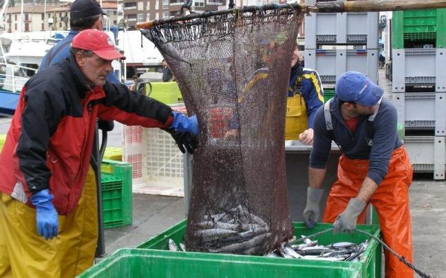 Varios arrantzales descargan sus capturas.
