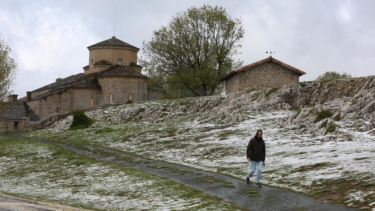 Manto blanco en Nafarroa en primavera