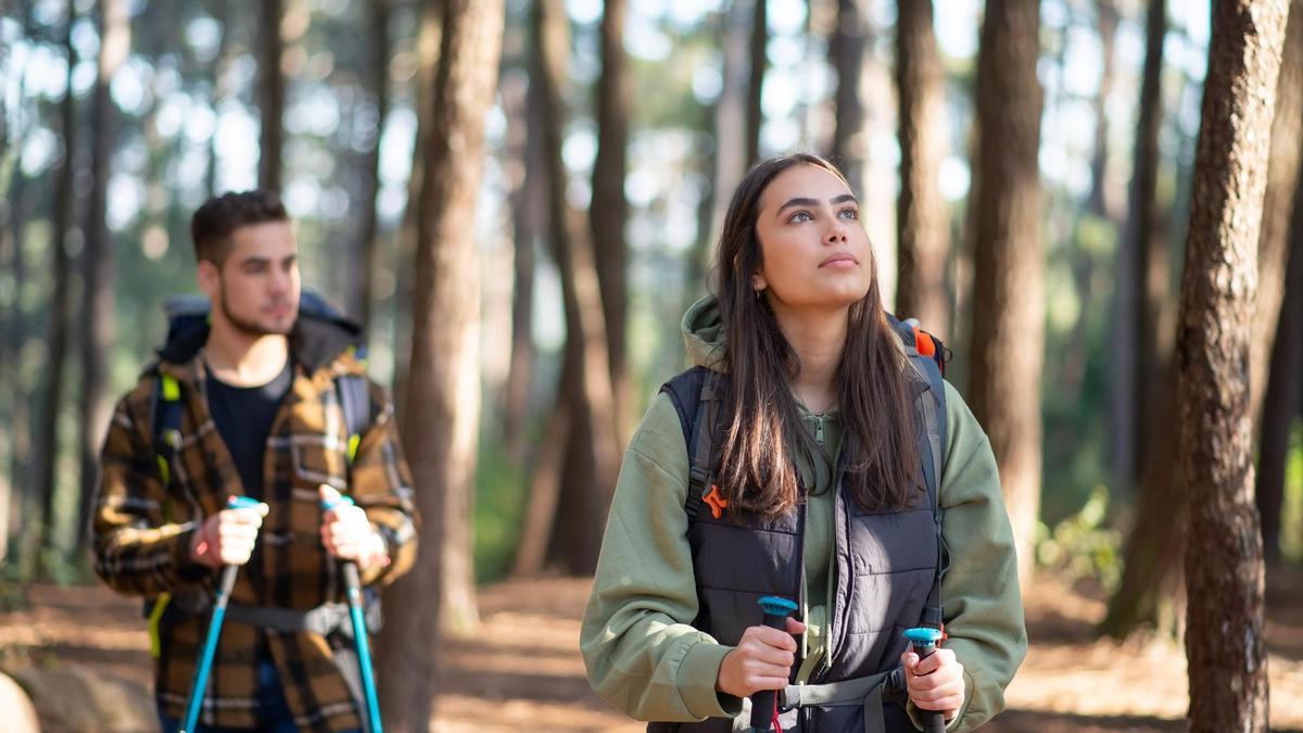 El otoño es casi la época preferida por muchos para salir al campo para disfrutar de cambio de estación.