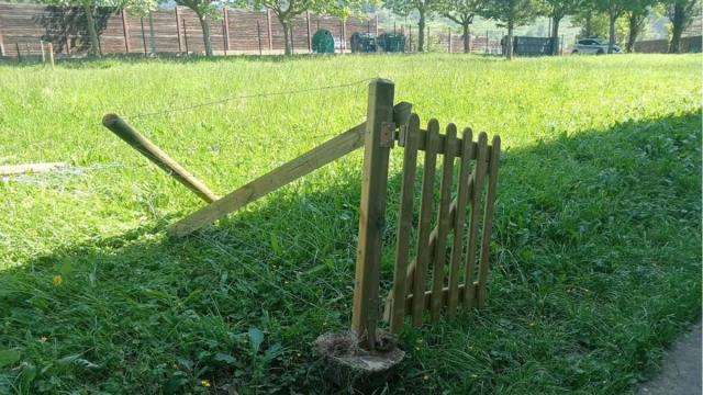 Se ha destruido el recién creado huerto escolar