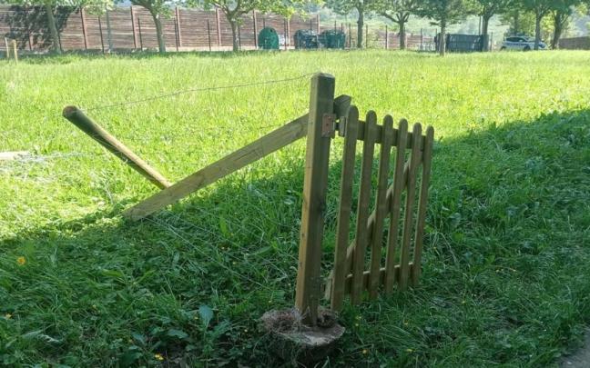 Se ha destruido el recién creado huerto escolar