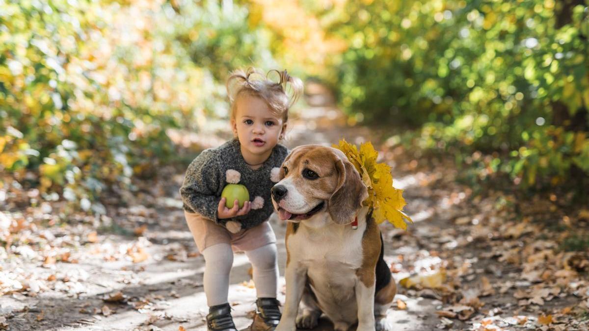 Niña juega con su perro al aire libre