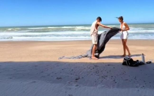 La pareja, grabada desde su móvil.