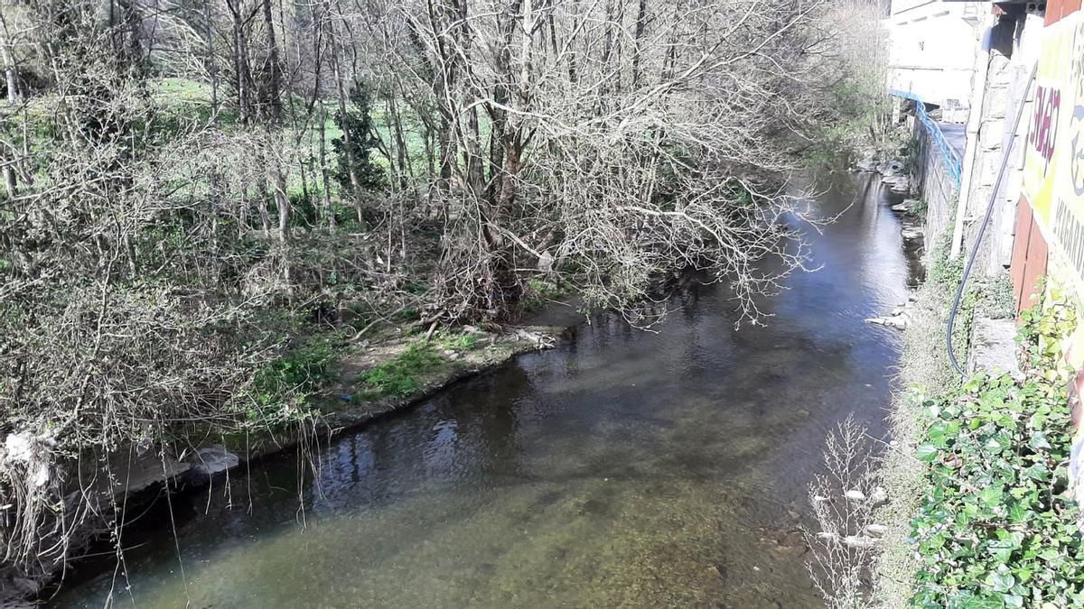 El río Ibaizabal, a su paso por Abadiño.