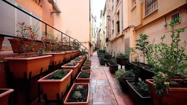 Los Caños se encuentran en diversos puntos del Casco Medieval de Gasteiz.